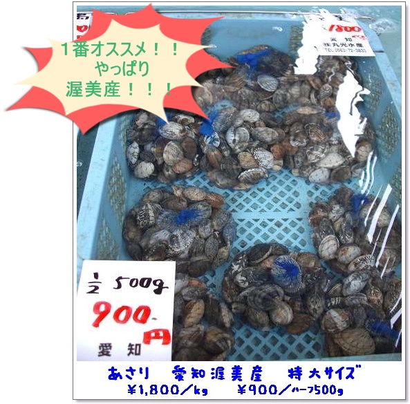 丸光水産直売所 渥美産　特大☆.jpg