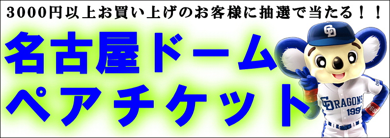 名古屋ドームペアチケット.JPG