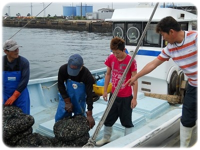 手三貝　操業日　6月17日　２.jpg