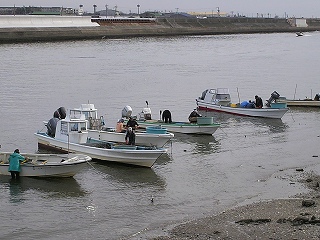 手掘り漁　2月17日.jpg