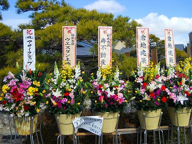 海道開店花 017.jpg