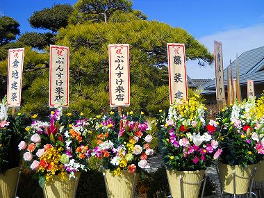 海道開店花 018.jpg