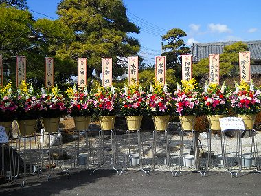 海道開店花 020.jpg