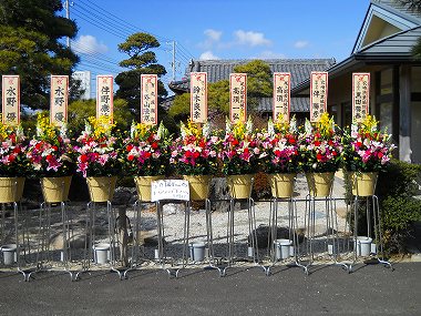 海道開店花 021.jpg