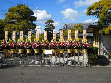 海道開店花 026.jpg