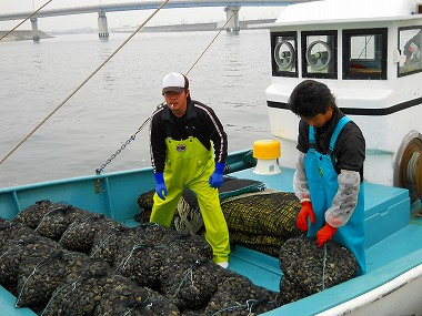 4月12日・17日手三貝 010.jpg