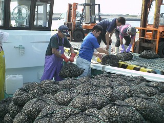 春隆丸　荷揚げ中