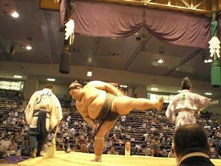 本場所　愛知県体育館　６