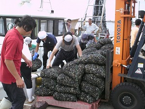 9月１２日手掘り操業日 014.jpg